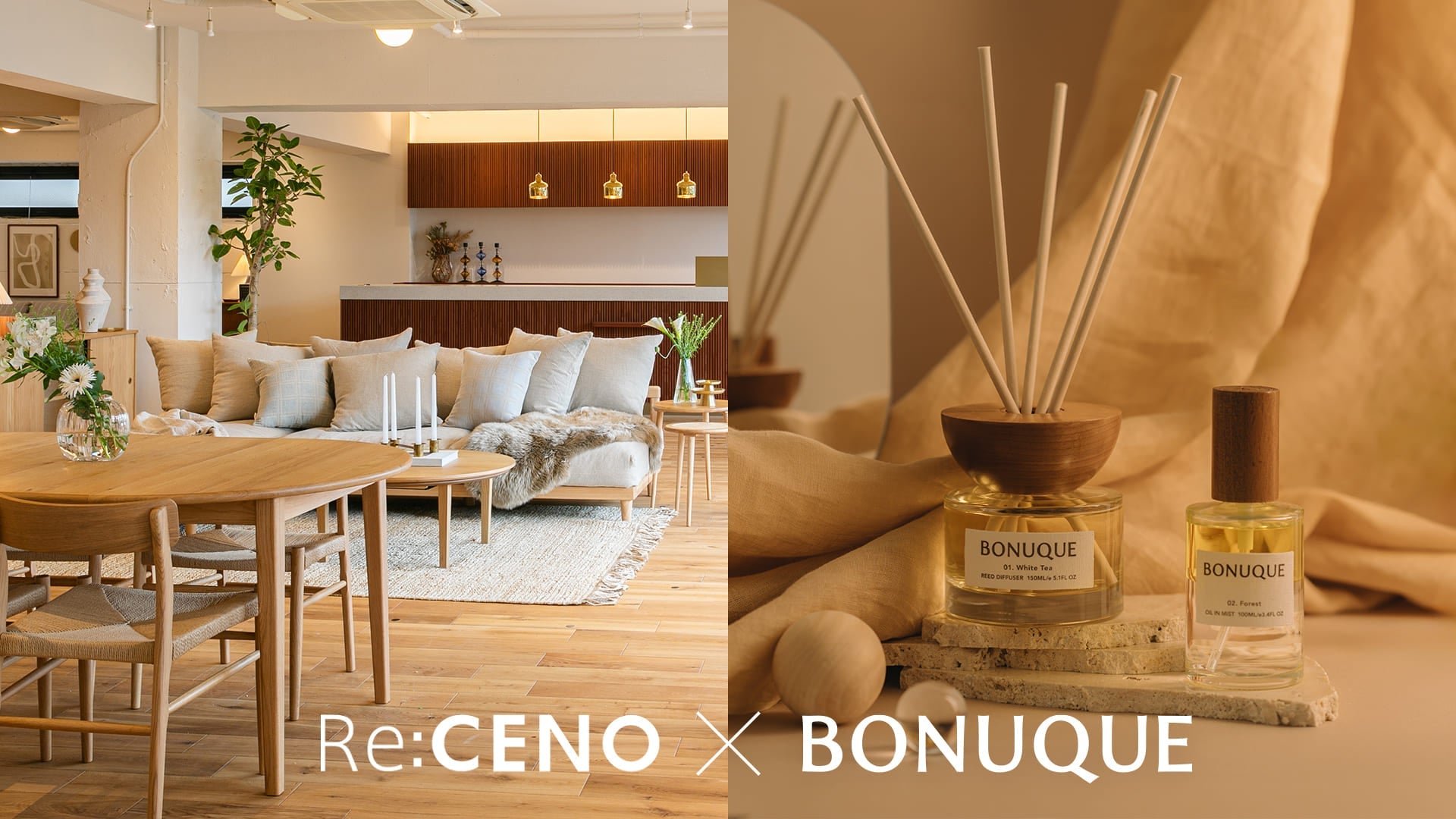 20241129_receno_popup.jpg?v=